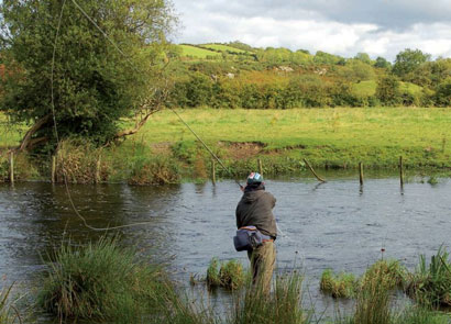 ricière d’irlande 02